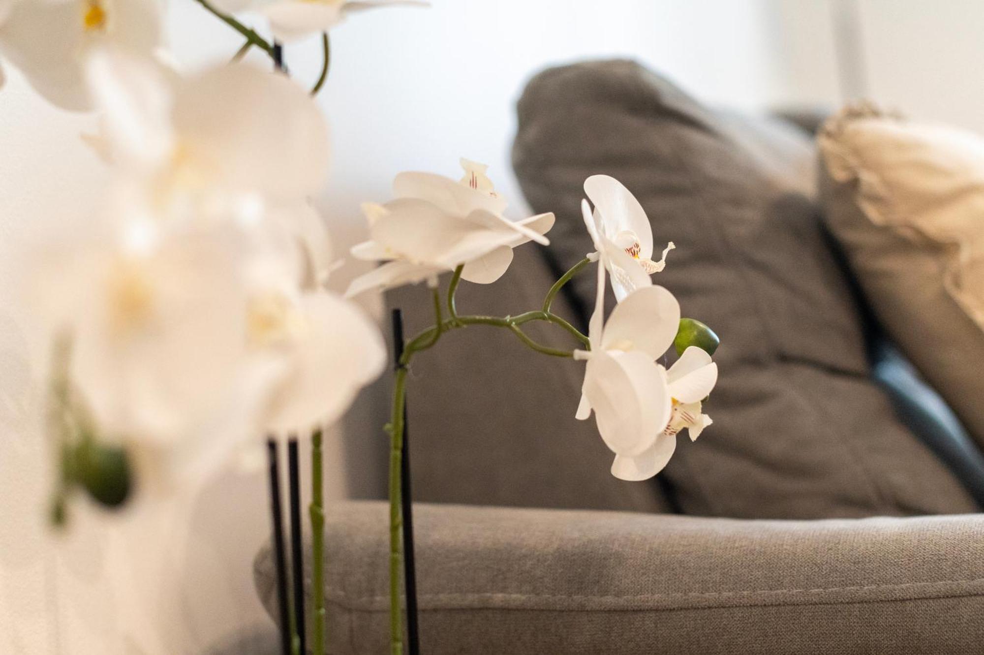 Apartment K&L,زادار المظهر الخارجي الصورة